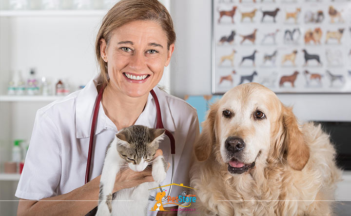 حفظ سلامتی سگ با مراجعه به دامپزشکی