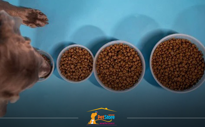 میزان غذای مورد نیاز سگ در روز چقدر است؟