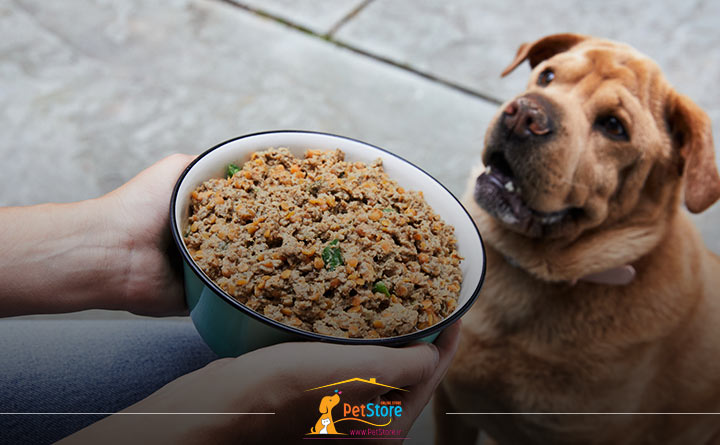 غذا با هضم آسان برای سگ عقیم شده