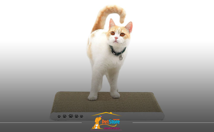 توجه به استحکام اسکرچر هنگام خرید