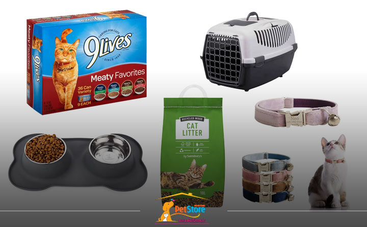 لوازم ضروری نگهداری از گربه، 36 ساعت اول