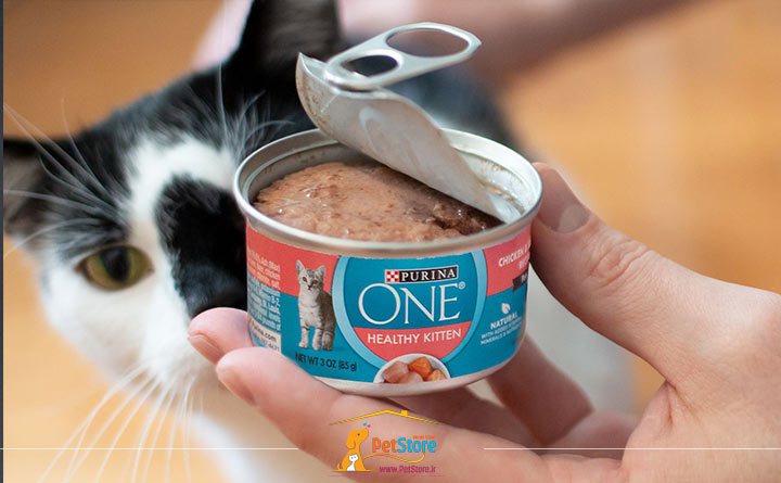 غذای مرطوب گربه