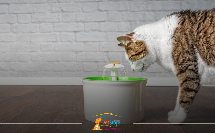 خرید آبنما برای گربه خانگی