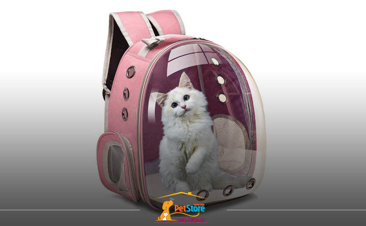 کوله‌پشتی گربه از انواع باکس گربه