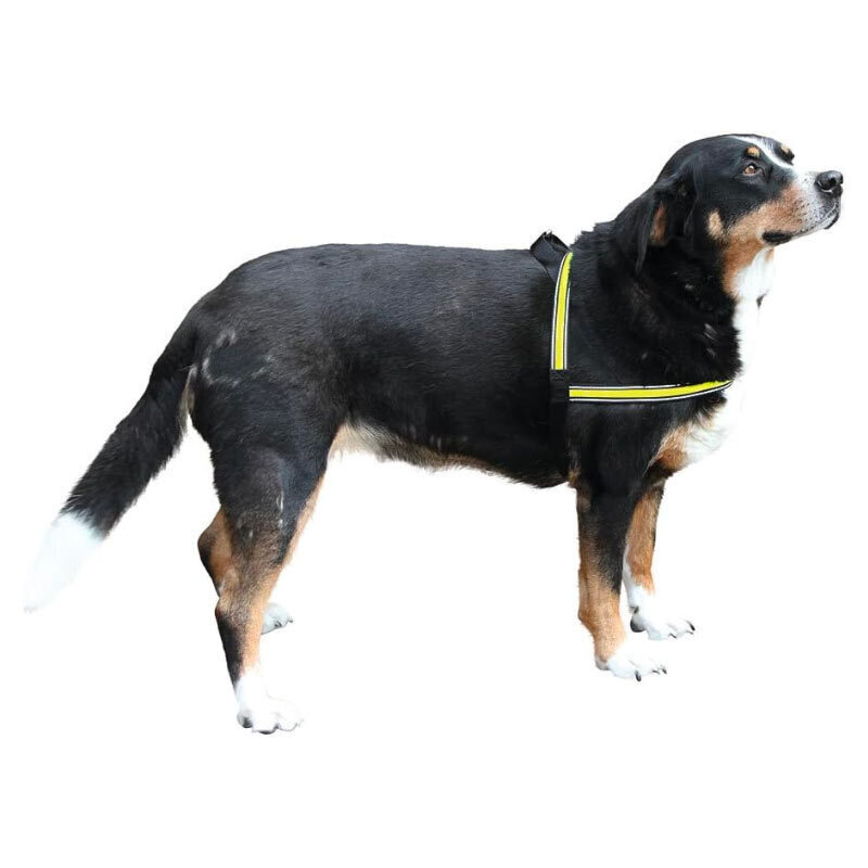  تصویر قلاده کتفی شبرنگ سگ کربل سایز M در بدن 