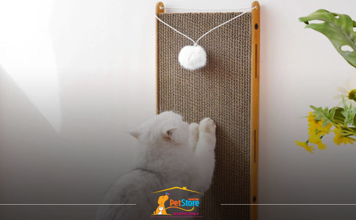 آشنایی با راهنمای خرید اسکرچر گربه