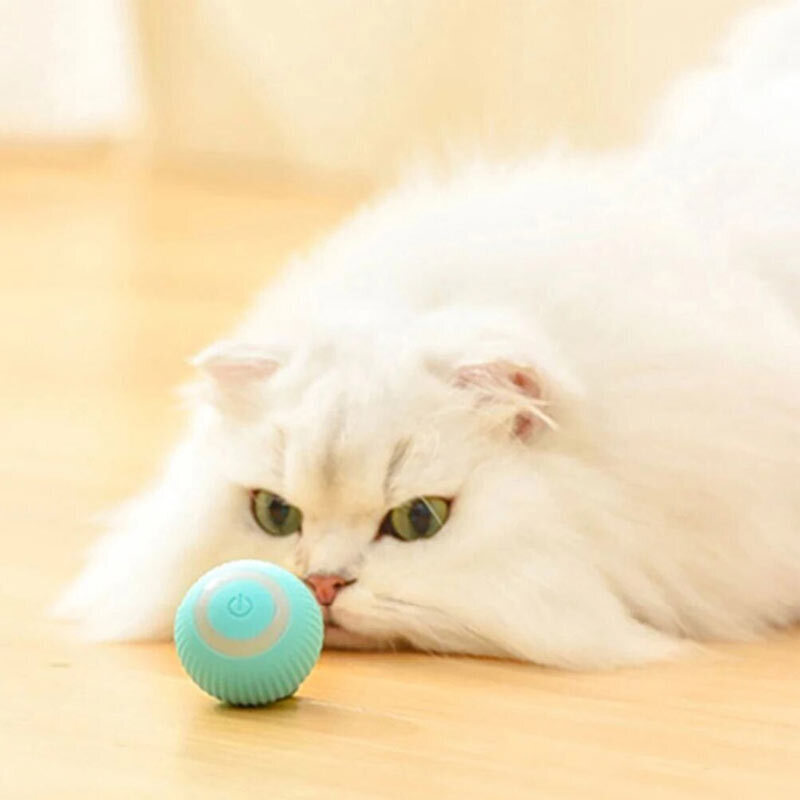  تصویر لایف استایل توپ هوشمند گربه پت گرویتی 