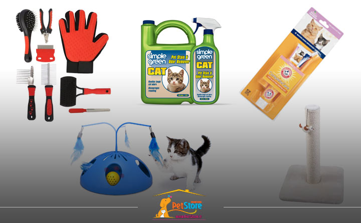 لیست لوازم ضروری برای نگهداری از بچه گربه