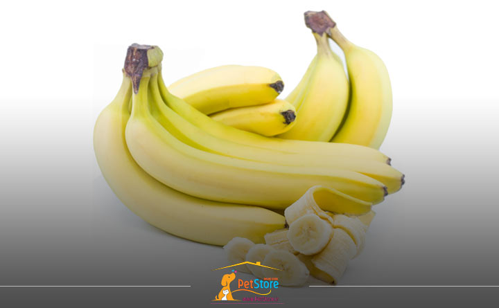موز ارگانیک به جای غذای تشویقی گربه