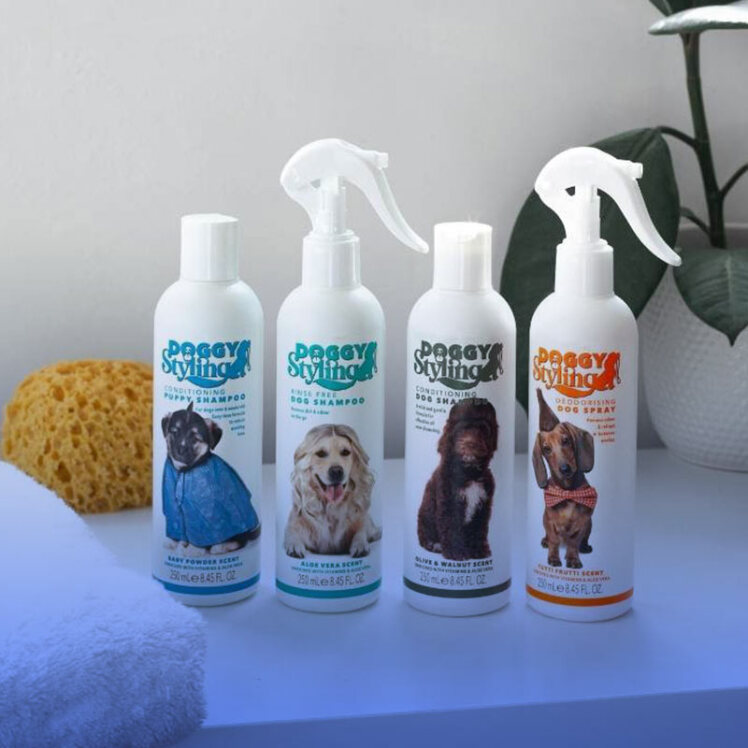 راهنمای خرید شامپو سگ