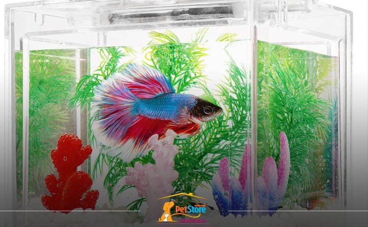 تجهیزات نگهداری از ماهی فایتر