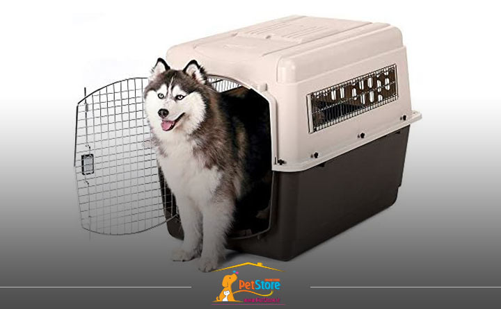 توجه به اندازه باکس سگ هنگام خرید