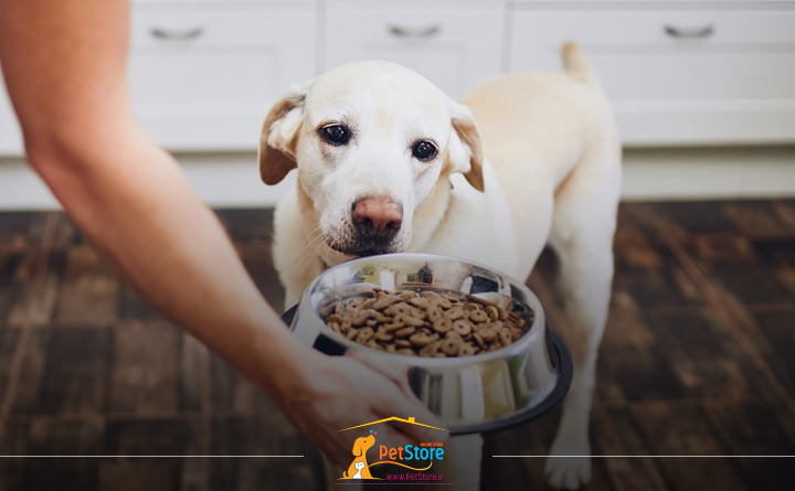 تأمین ویتامین‌ها و مواد معدنی از فواید غذای خشک برای سگ