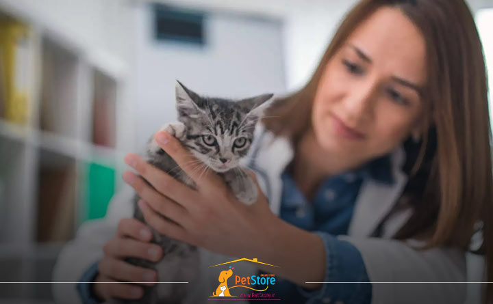 معاینه بچه گربه