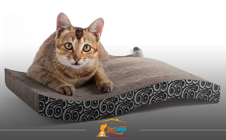 پد خاراندن یا اسکرچر گربه