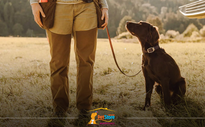 ویژگی سگ فرمان‌بر