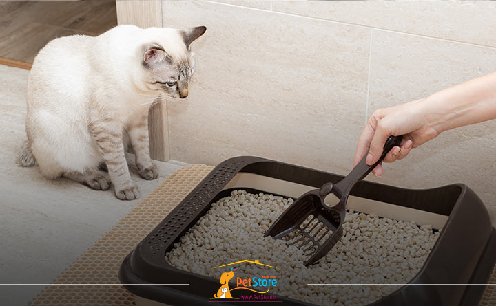 خرید خاک گربه 