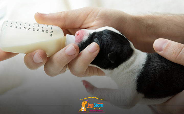 آشنایی با نحوه استفاده از شیشه شیر سگ