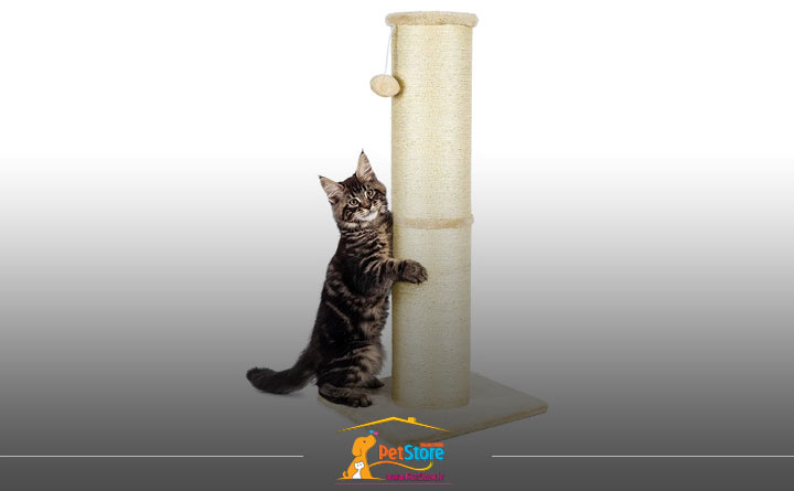 توجه به ارتفاع اسکرچر هنگام خرید اسکرچر گربه