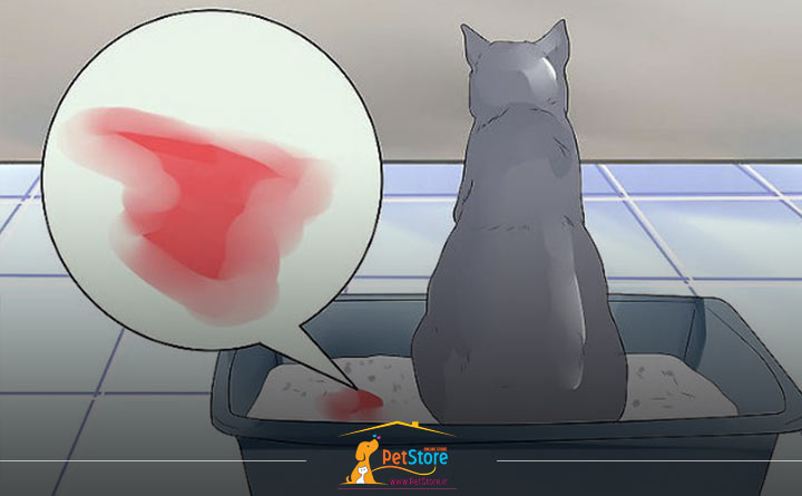 بیماری سیستیت در گربه