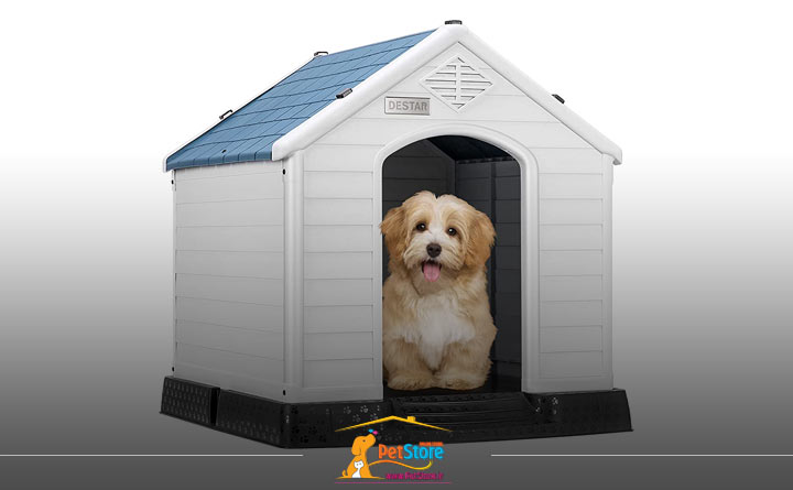 نکات مهم برای انتخاب خانه سگ