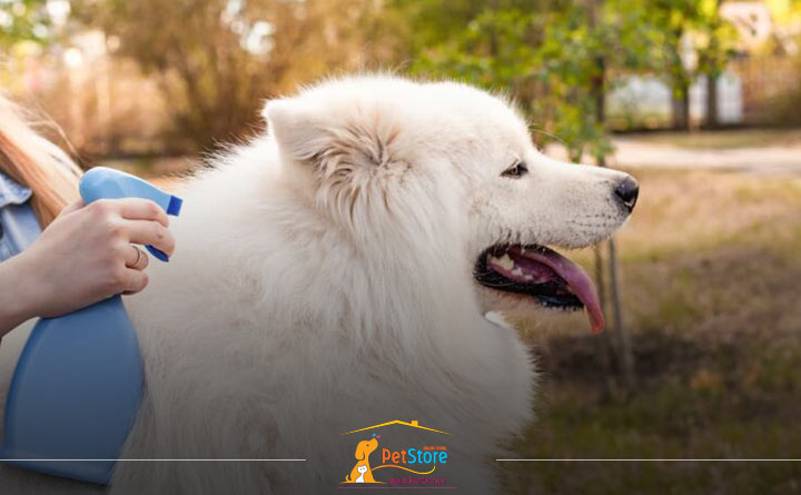 پیشگیری از کک و کنه