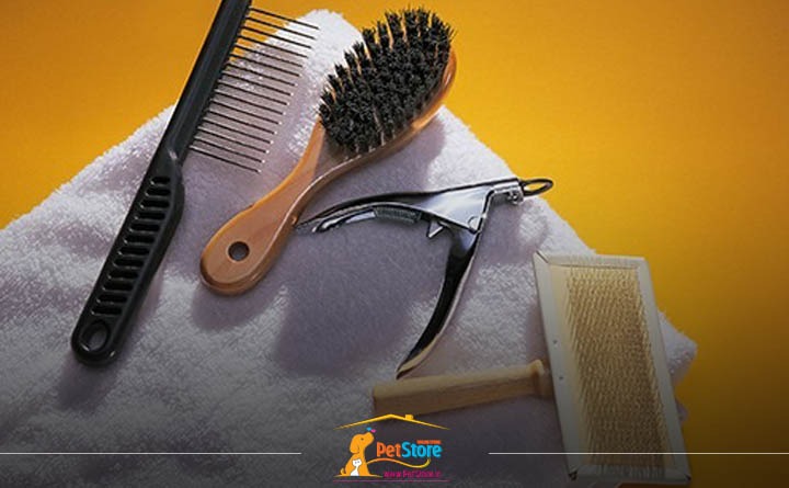 وسایل مورد نیاز حمام کردن سگ