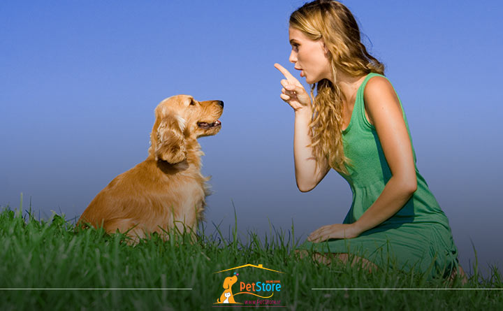 عیب یابی رفتار سگ