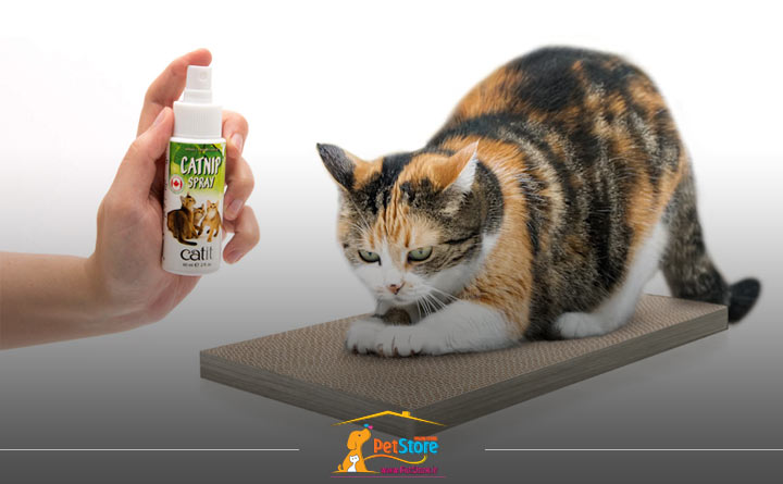 استفاده از اسپری علف گربه