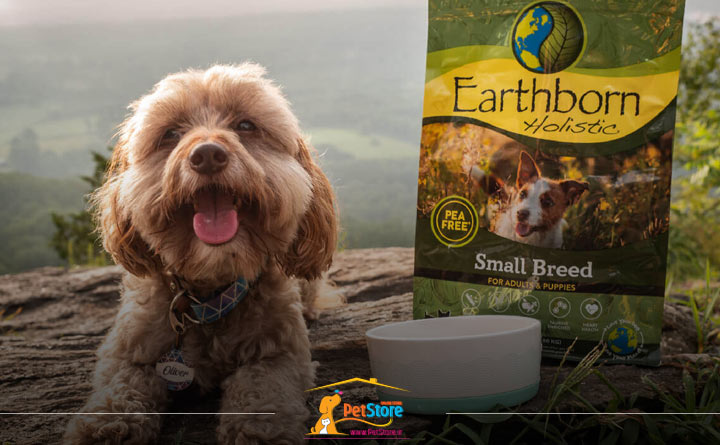  غذای توله سگ