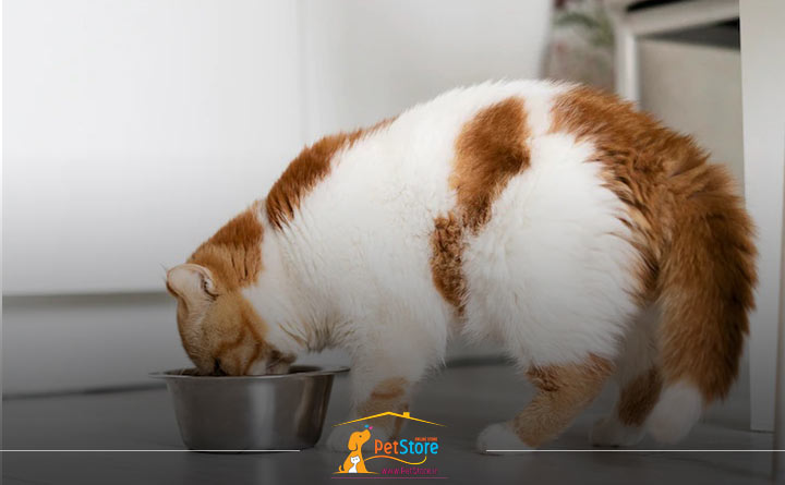 بافت غذای گربه