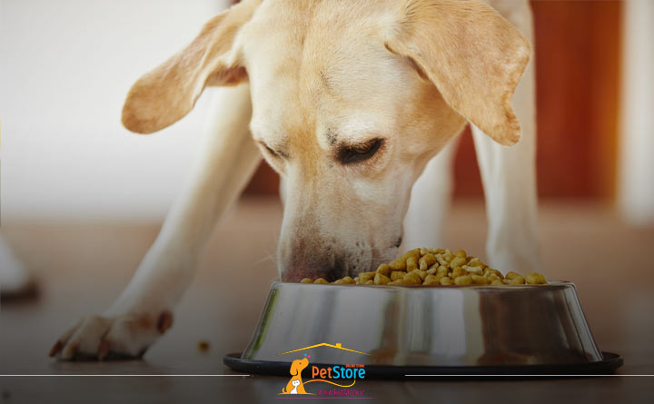 برندهای مختلف غذای سگ