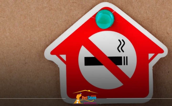 راه‌های افزایش طول عمر سگ: سیگار نکشیدن در محیط خانه