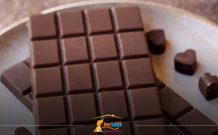 شکلات مواد غذایی ناسالم برای توله‌سگ