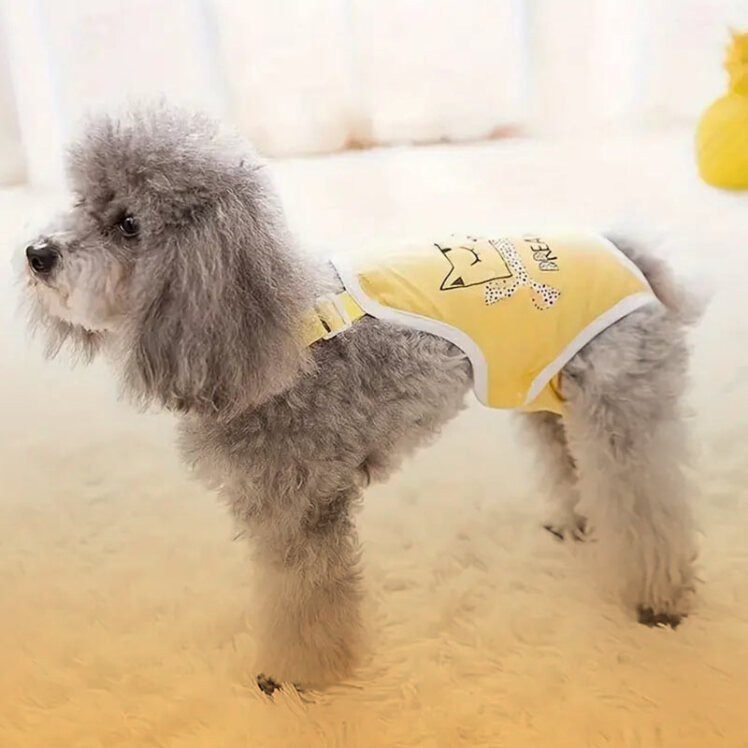 راهنمای خرید زیرانداز بهداشتی سگ 