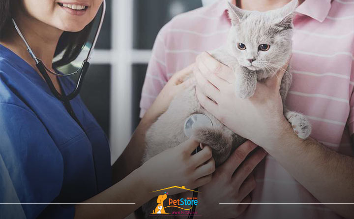 مراقبت های بعد از واکسیناسیون گربه