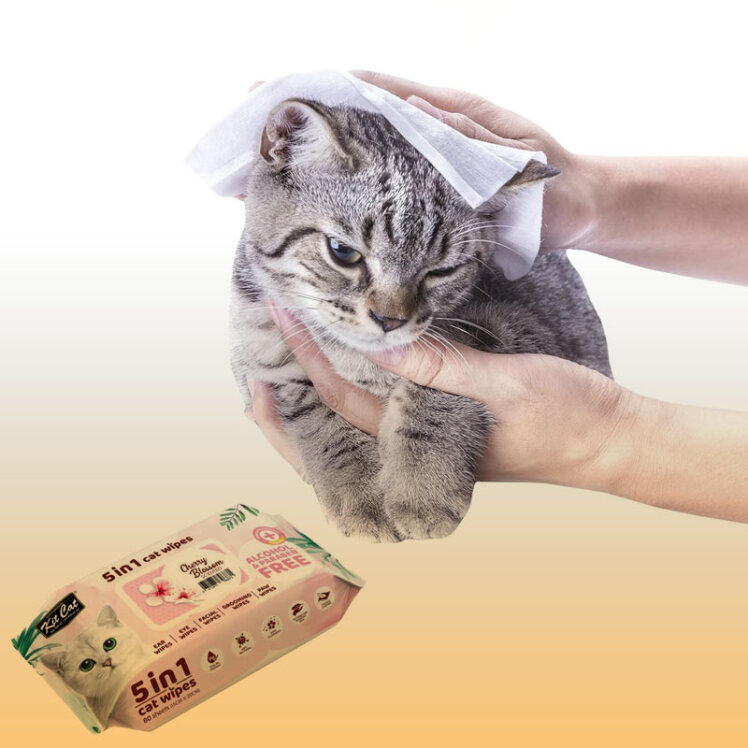 راهنمای خرید دستمال مرطوب گربه