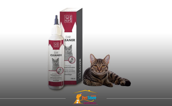 آشنایی با قطره گربه