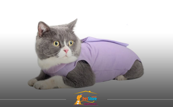 گرم بودن لباس گربه