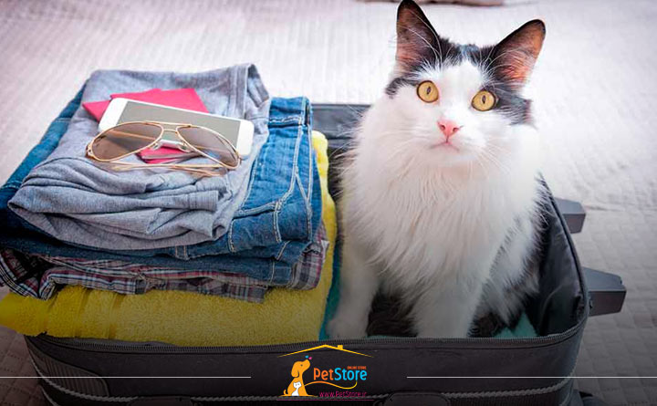 سفر با حیوان خانگی