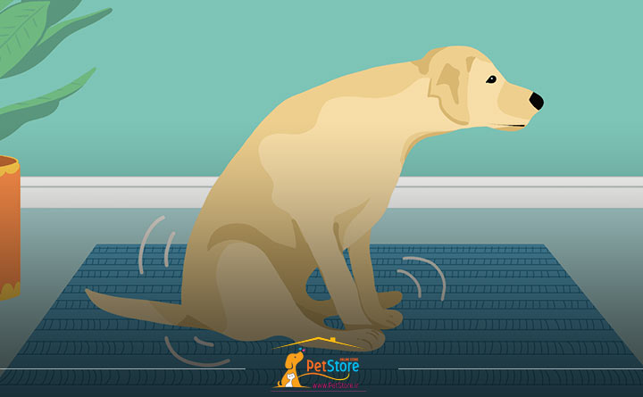 پر شدن کیسه مقعدی سگ