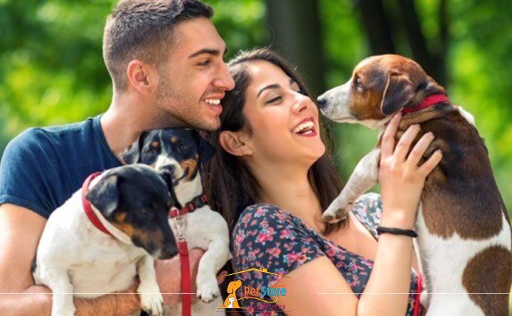 اهمیت مراقبت از سگ