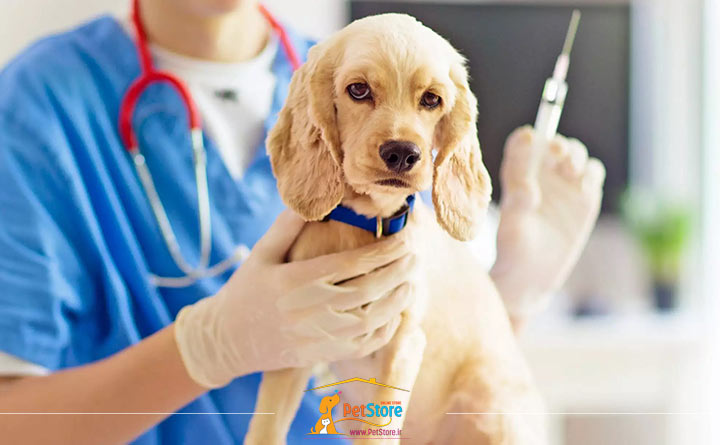 واکسیناسیون سگ