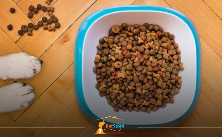 آشنایی با راهنمای خرید غذای خشک سگ