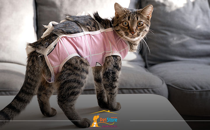 عقیم کردن گربه