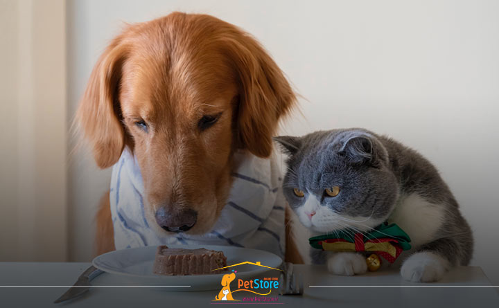 دادن غذای سگ به گربه