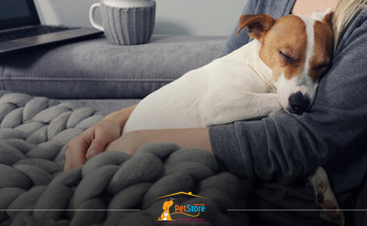 بلوغ در سگ های ماده