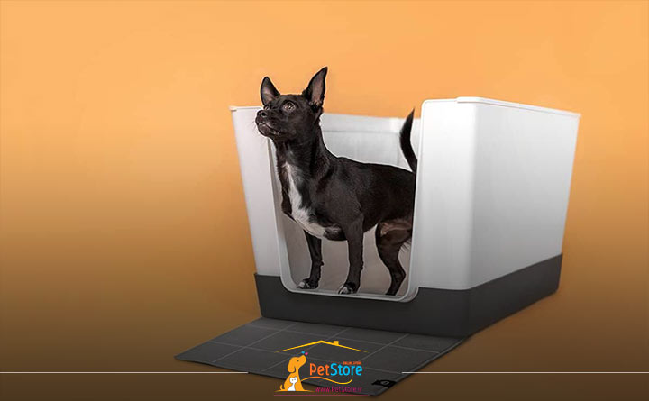 توالت دستشویی پیشرفته برای سگ