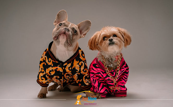 خرید انواع لباس و حوله برای سگ