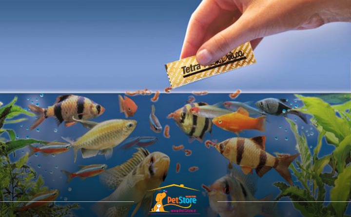 خرید غذای ماهی آکواریوم